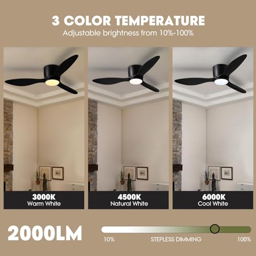 Lord Of Discounts • Daily Deals & Promotions tweet media