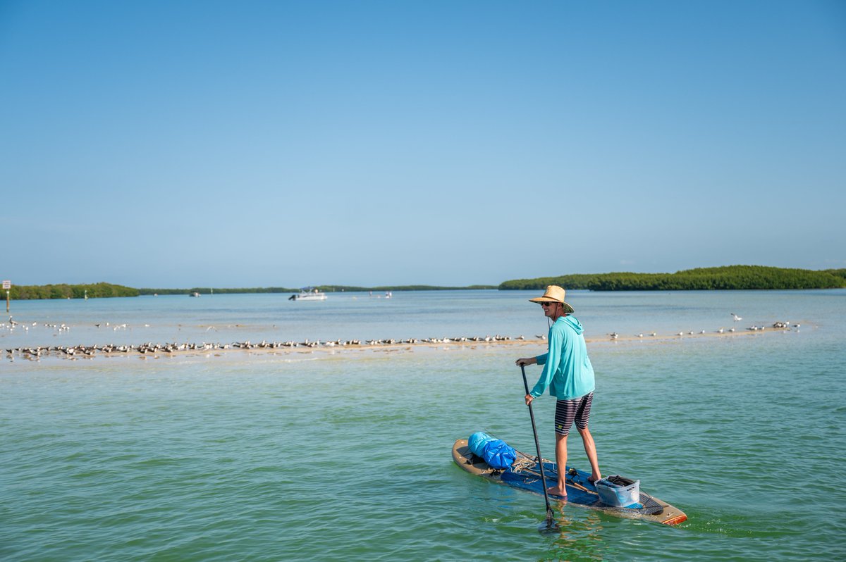 VisitSPC's tweet photo. Island time activated. β°ποΈ
Have you explored Shell Key Preserve? This 1,828-acre island paradise is just off the shores of Pass-a-Grille and Fort DeSoto Park. A hidden gem, perfect for adventure! Have you been? #ShellKeyPreserve https://t.co/werJwMoZFE