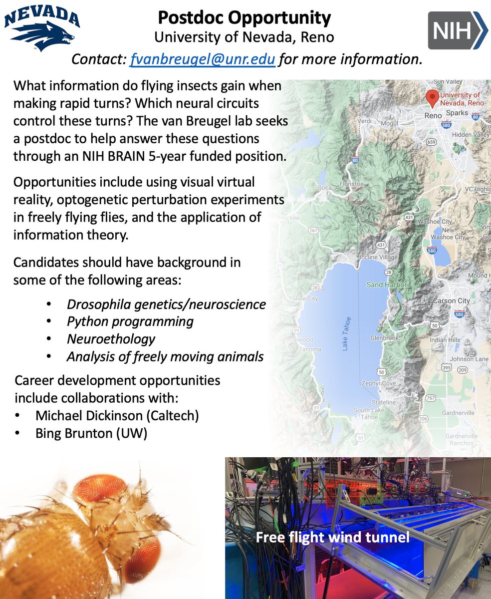 Floris van Breugel (@florisbreugel) on Twitter photo Open #postdocposition! Come work with me on NIH BRAIN funded research to discover the functional role & neural basis of rapid turns during olfactory search.
Please share!
Video: youtube.com/watch?v=clV18eā¦
Paper: cell.com/current-biologā¦
With <a href="/bingbrunton/">Bing Wen Brunton</a>, Michael Dickinson Open #postdocposition! Come work with me on NIH BRAIN funded research to discover the functional role & neural basis of rapid turns during olfactory search.
Please share!
Video: youtube.com/watch?v=clV18eā¦
Paper: cell.com/current-biologā¦
With <a href="/bingbrunton/">Bing Wen Brunton</a>, Michael Dickinson