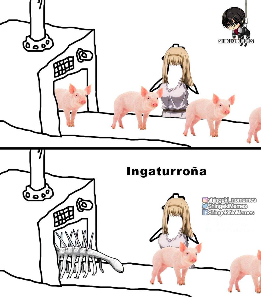 Shingeki No Memes tweet media