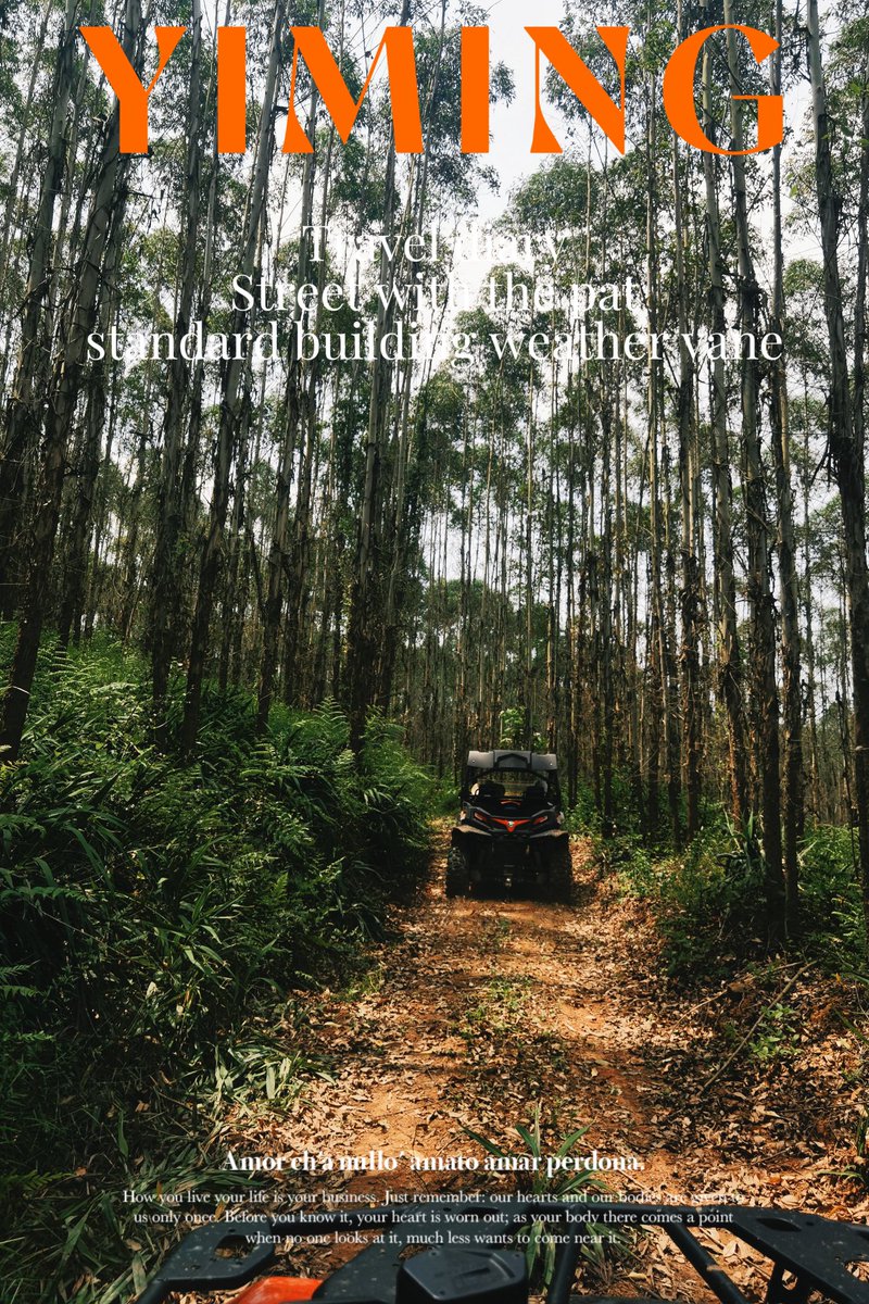 张祎铭Barron tweet media