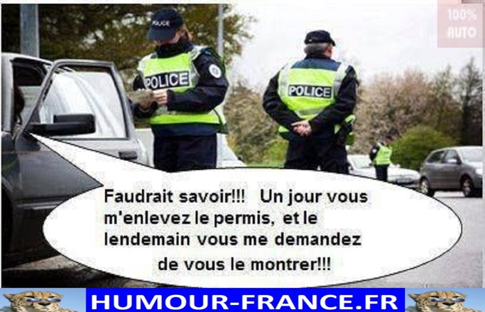 text alternatif
