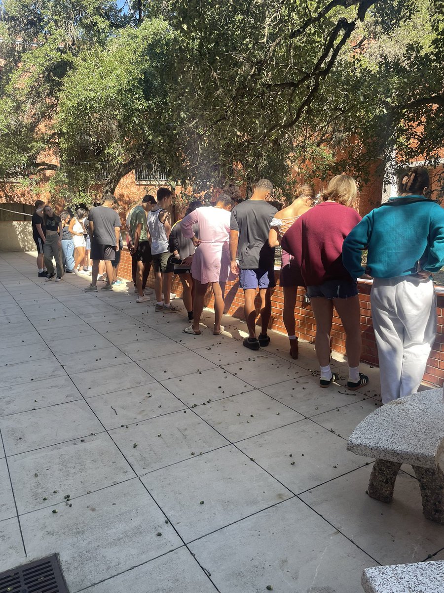 Dr. Heather Haynes Smith (@drhaynessmith) on Twitter photo Time to get outside! It’s a gorgeous Texas morning exploring a timeline of disability legislation and events. Thanks <a href="/DrToste/">Jessica Toste</a>! #TUEDUC1331 #TUEDUC1431 Time to get outside! It’s a gorgeous Texas morning exploring a timeline of disability legislation and events. Thanks <a href="/DrToste/">Jessica Toste</a>! #TUEDUC1331 #TUEDUC1431