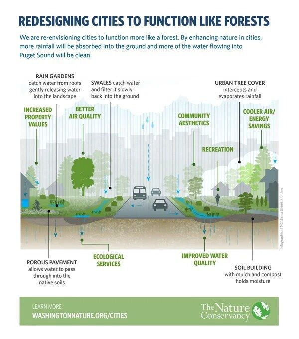 UN Biodiversity (@unbiodiversity) on Twitter photo What does a city functioning like a forest look like? 🌳
🏙 Find out 👇
via <a href="/nature_org/">The Nature Conservancy</a> What does a city functioning like a forest look like? 🌳
🏙 Find out 👇
via <a href="/nature_org/">The Nature Conservancy</a>