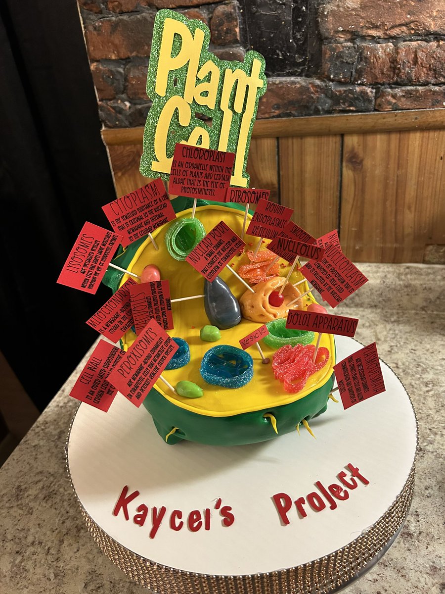 7th grade Cell Projects! Thank you, Mrs. Luchie on creating a great science program! Great things are happening here! 

#thebestmiddleschoolinsavannah #gogators #gatornation #studentsfirst