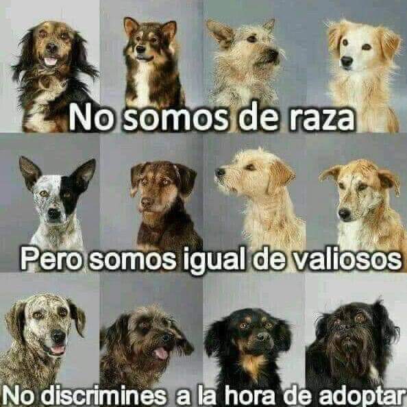 Guadalupe Ramirez tweet media