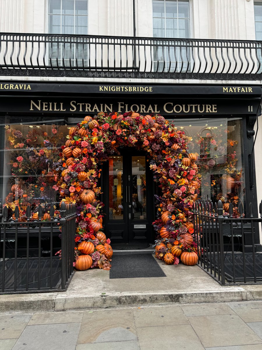 🍂✨ Our Belgravia boutique is dressed for autumn! This season’s display explores rich colours, pumpkins, and earthy textures that bring the warmth and beauty of the season to life. 🎃🍁Each detail is thoughtfully crafted to capture the magic of Fall.🍂

#AutumnVibes #NeillStrain