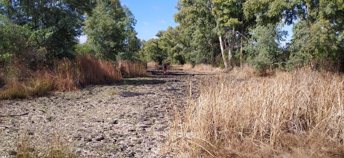 Aquatic Ecology and Evolution - CIIMAR tweet media