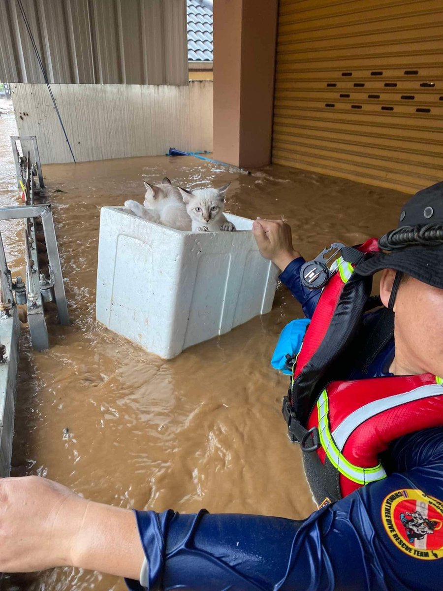 มึง ดูหน้าน้อนสิ ขอบคุณพี่บ่าวที่เข้าไปช่วย