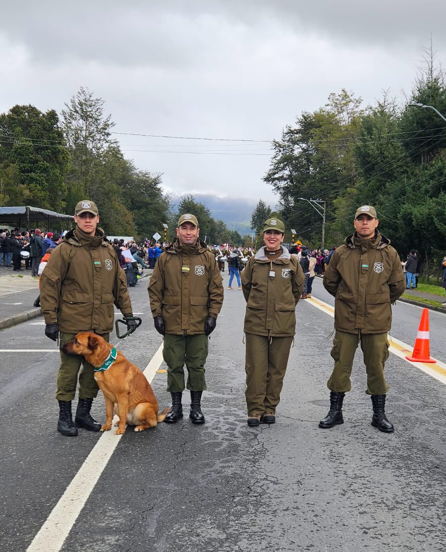Carabineros Región de Los Lagos tweet media