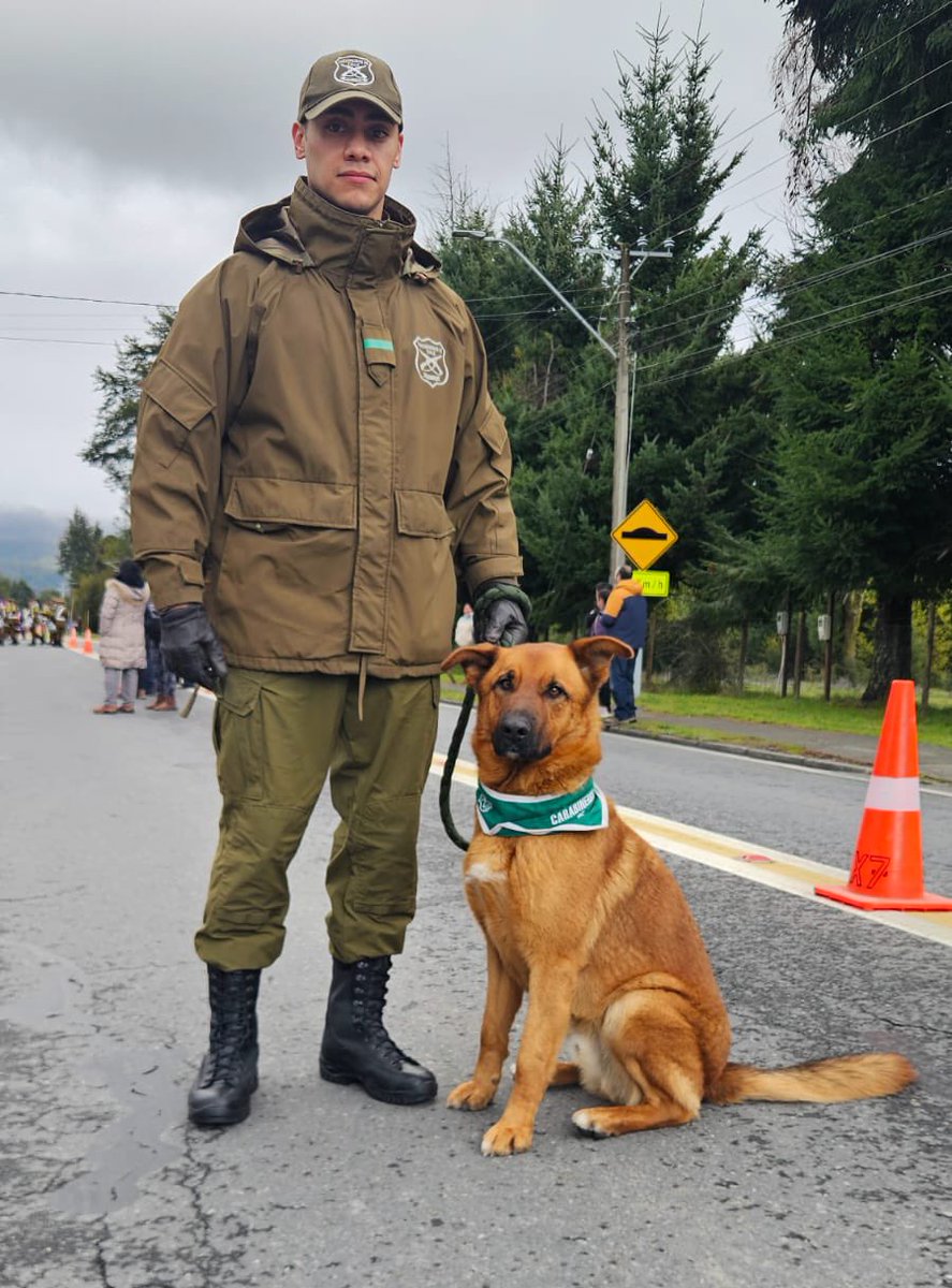 Carabineros Región de Los Lagos tweet media