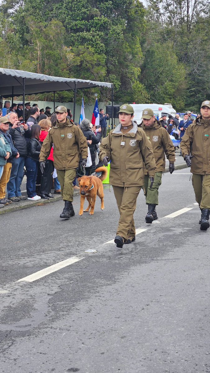 Carabineros Región de Los Lagos tweet media