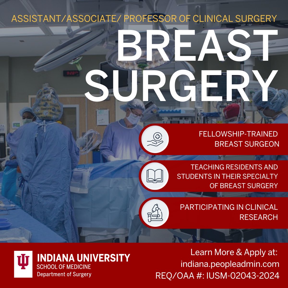 📢 New faculty opportunity in the Division of Breast Surgery!

❗Come join the team at Indiana University School of Medicine in the Division of Breast Surgery as Assistant/Associate/Professor of Clinical Surgery - Breast Surgeon. We are seeking a fellowship-trained breast surgeon