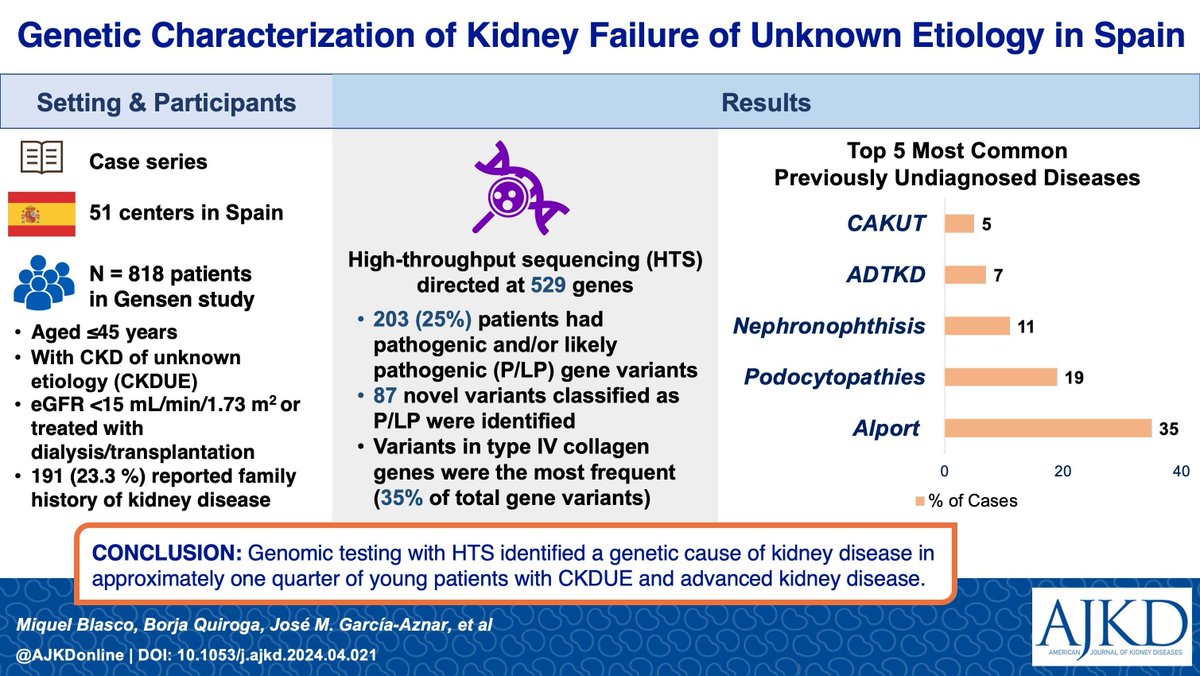 AJKD (@ajkdonline) on Twitter photo Genetic Characterization of Kidney Failure of Unknown Etiology in Spain: Findings From the GENSEN Study
buff.ly/47cF1kK
@Miki_Blasco <a href="/Dr_Bqg/">Borja Quiroga</a> <a href="/torra_roser/">Roser Torra</a> <a href="/DePsequera/">Patricia de Sequera</a> #VisualAbstract Genetic Characterization of Kidney Failure of Unknown Etiology in Spain: Findings From the GENSEN Study
buff.ly/47cF1kK
@Miki_Blasco <a href="/Dr_Bqg/">Borja Quiroga</a> <a href="/torra_roser/">Roser Torra</a> <a href="/DePsequera/">Patricia de Sequera</a> #VisualAbstract