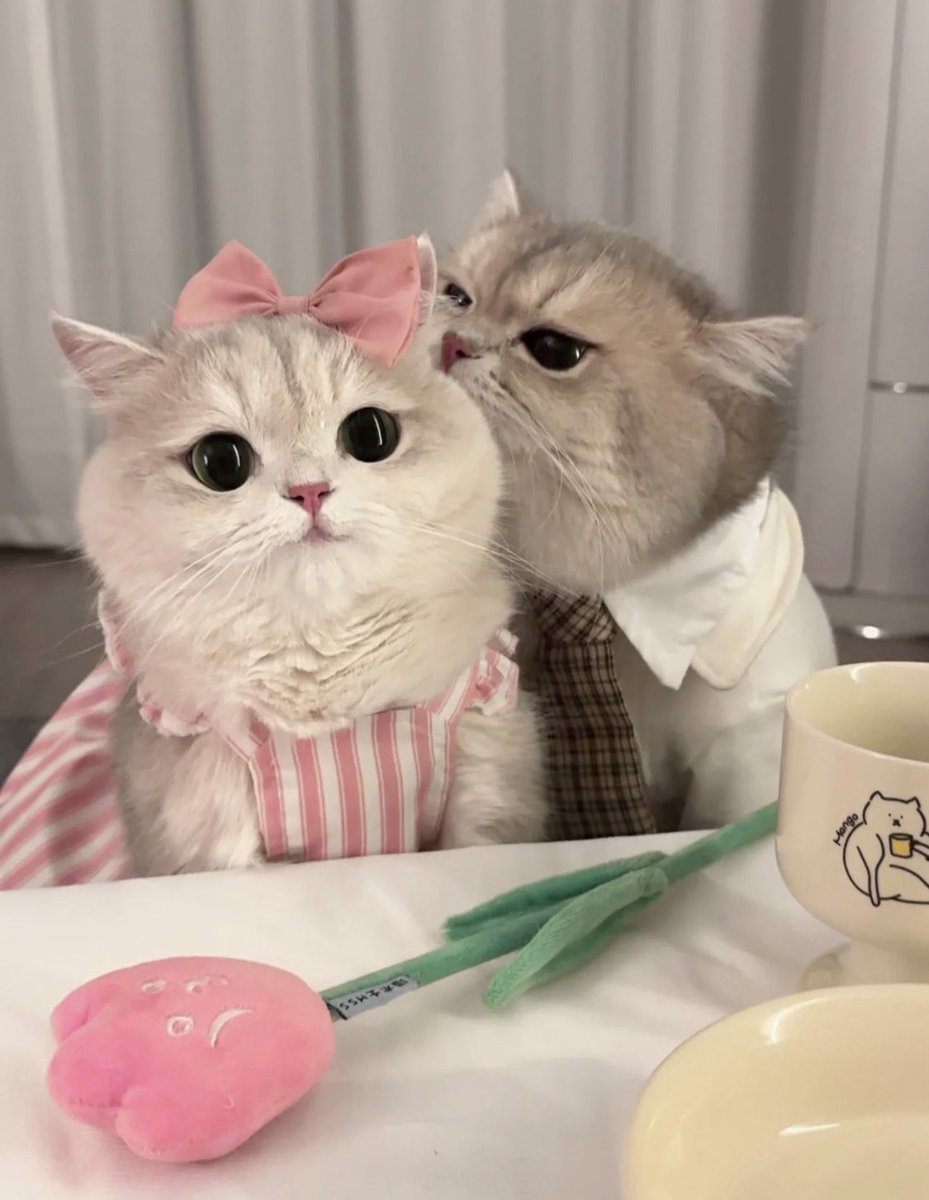 piinkimi_'s tweet photo. us on a date https://t.co/NtXl4QJIFk