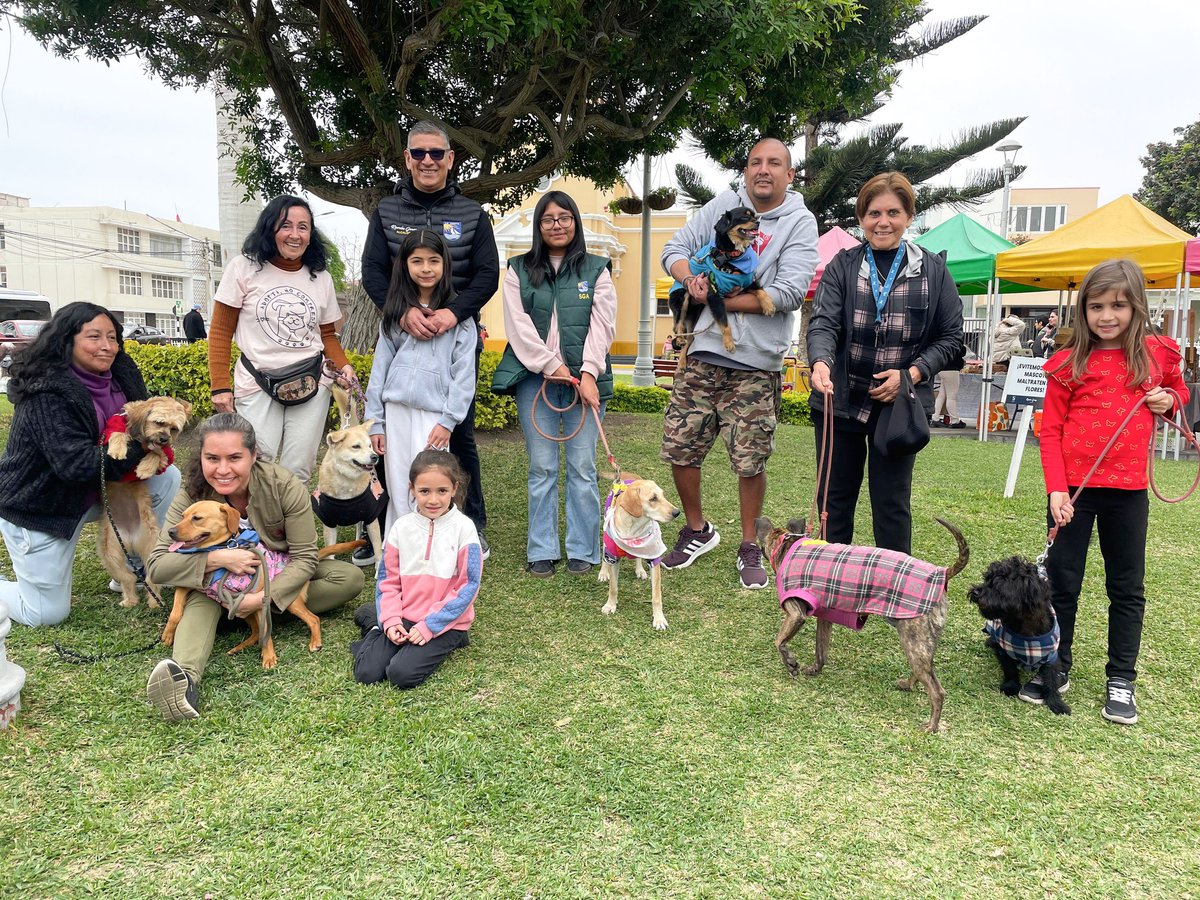 LapuntaOficial's tweet photo. En la última Agroferia, un rincón especial acondicionado por nuestra subgerencia de Gestión Ambiental, en coordinación con SOS Patitas - La Punta, albergó la esperanza de 10 perritos que buscaban un hogar.
Mira el detalle en el siguiente enlace:
https://t.co/kZeIC1eNSc https://t.co/gkC7nrvM4U