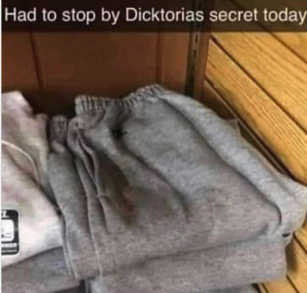 FleshbotGay's tweet photo. Have you been enjoying the sights? 👀 

It's Grey Sweatpants season! Let's enjoy more memes - https://t.co/wpAqZpw1KU https://t.co/rjvEGnYwCC