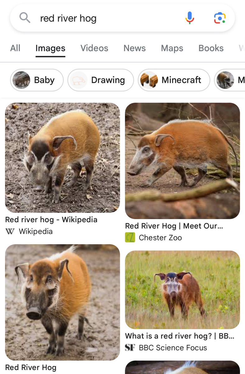 I’ve learned of 3 new animals over the past 24 hours, who is next 🤨