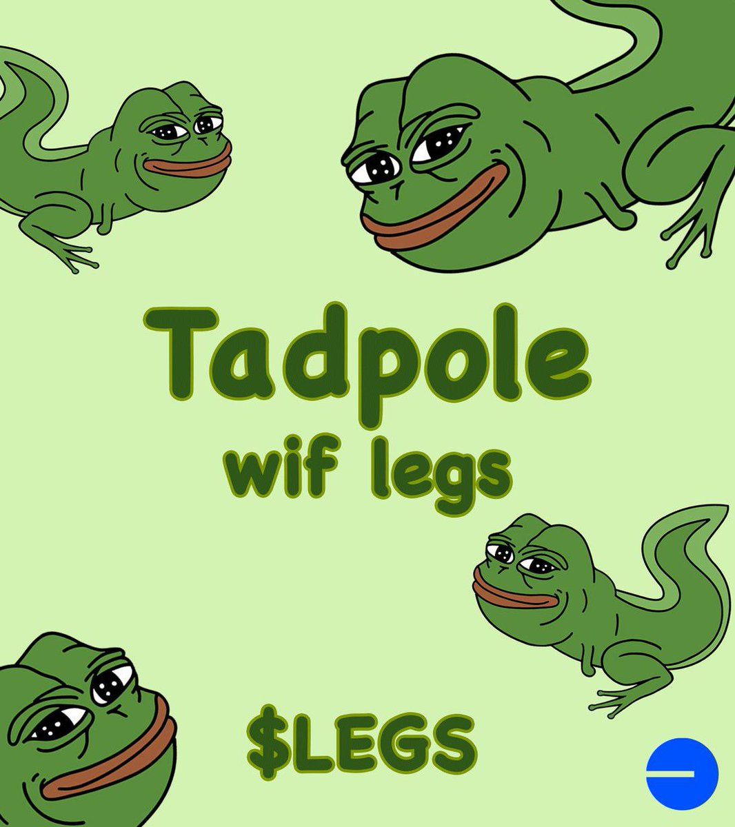 LegsOnBase's tweet photo. Gm gm fam, shill me your best $LEGS meme 😎.

#memecoin #base #eth https://t.co/Ky0oA5syGe