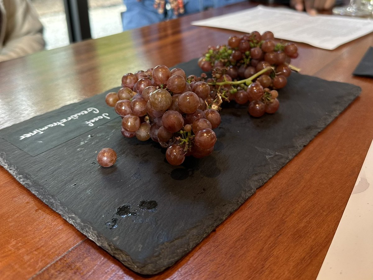 Fischbach Lab tweet media