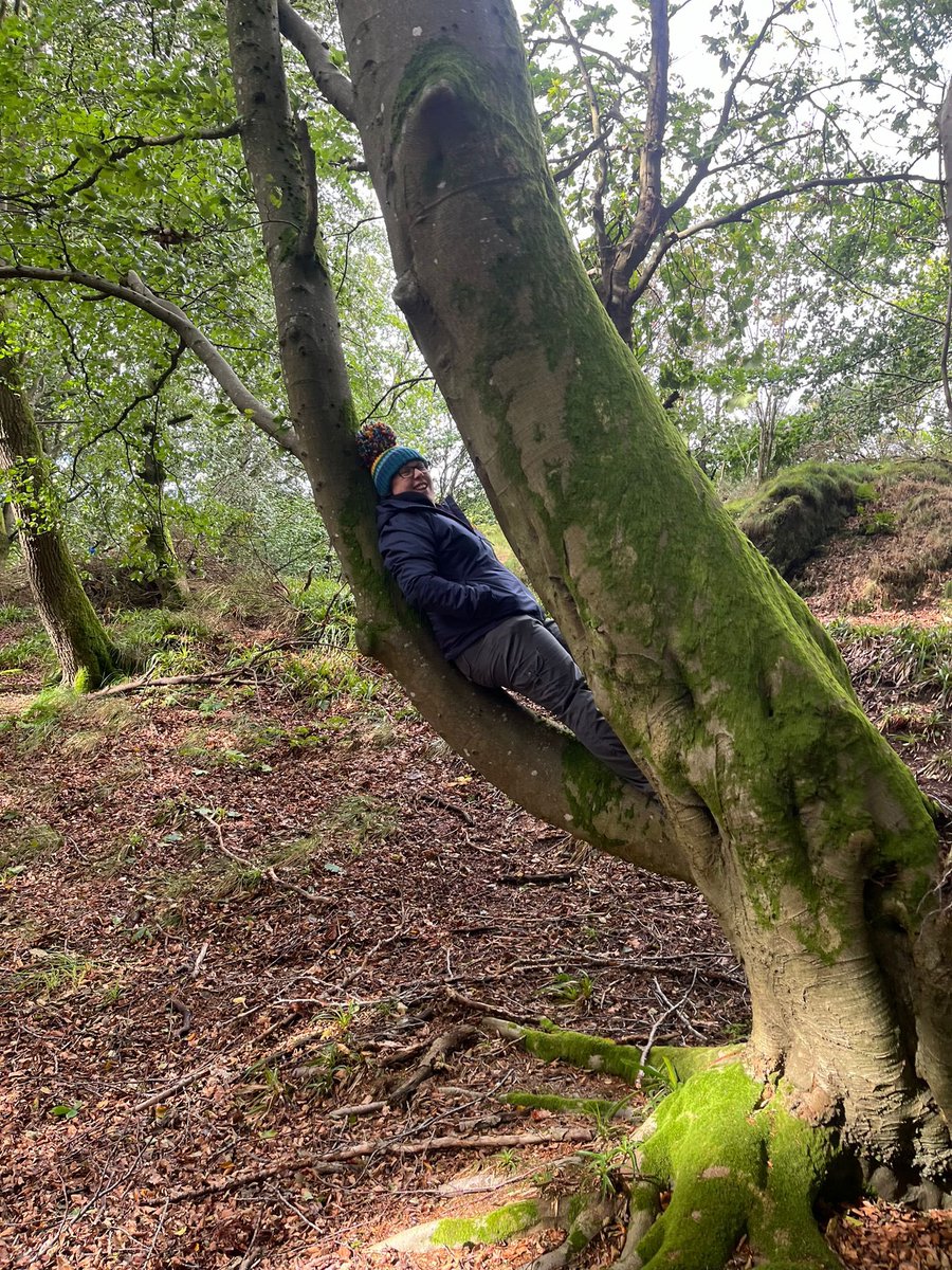 Ms Roche tweet media