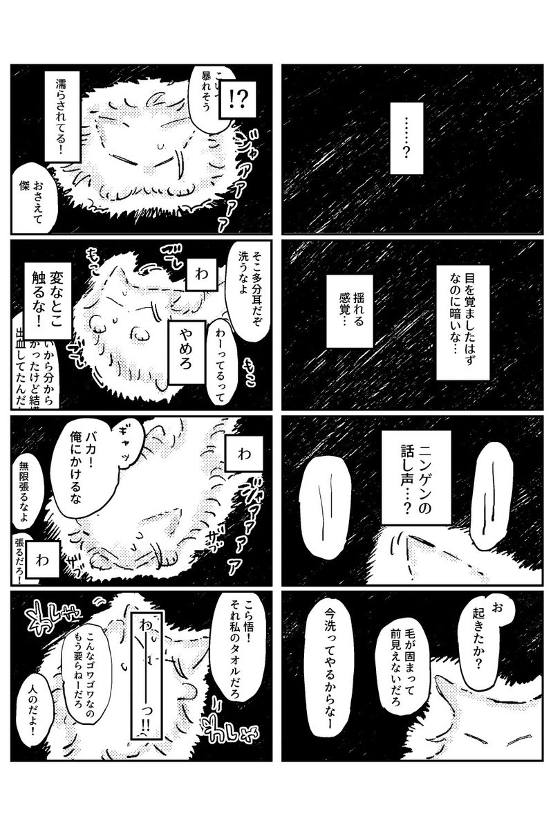 猫五夏90 黒猫視点 