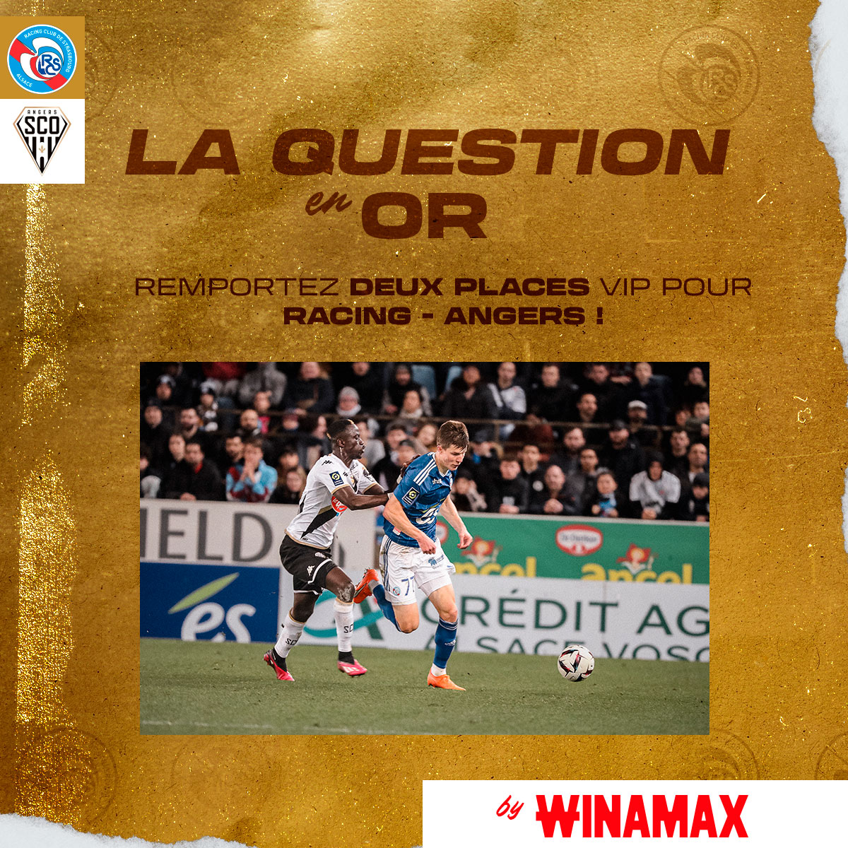 Racing Club de Strasbourg Alsace tweet media