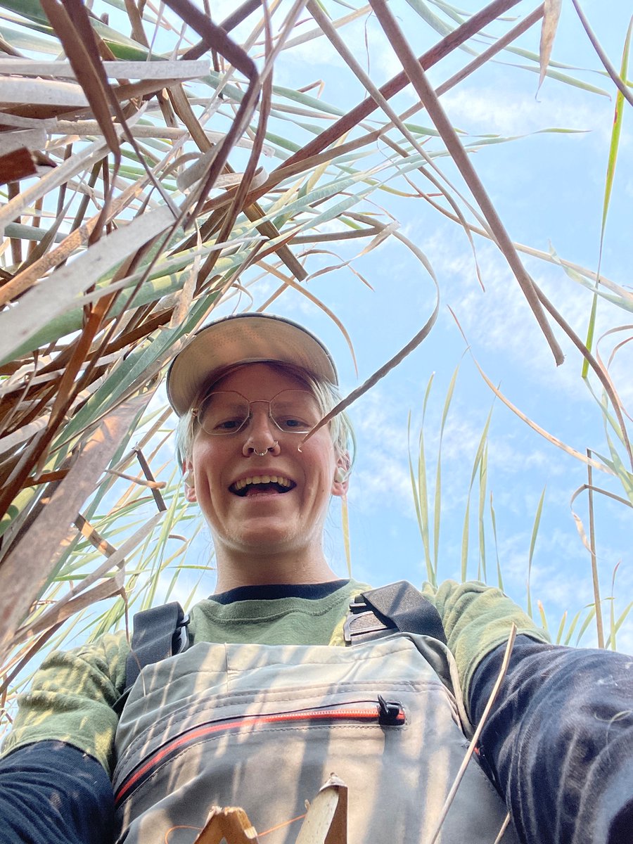 ur a bug in the swamp and im looking at u :)