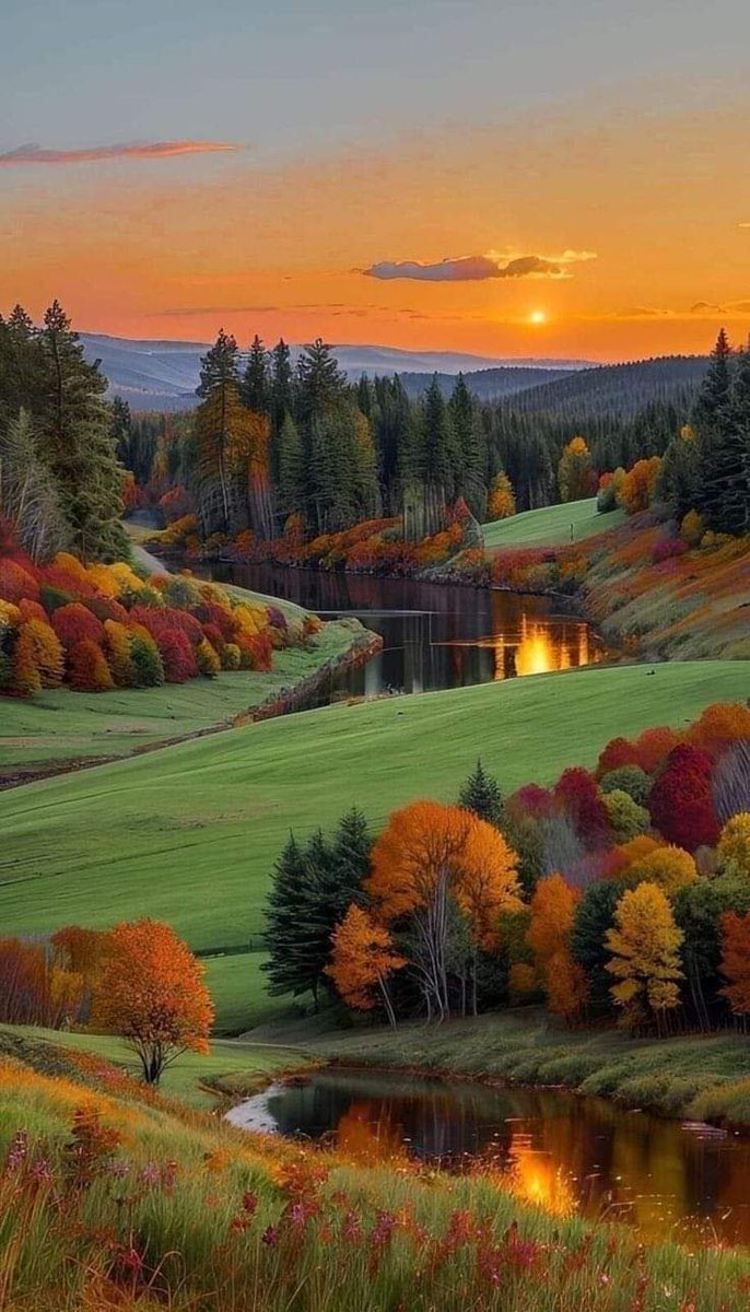 Born2MakeUAPPY's tweet photo. 🙏☕️🌿
#terçafeira 💛🌿
A vida só tem sentido quando aprendemos a recomeçar todos os dias como se fosse o primeiro...
#setembro24 #solinho #persistirsempre #desistirnunca https://t.co/krfi3Rjh7S