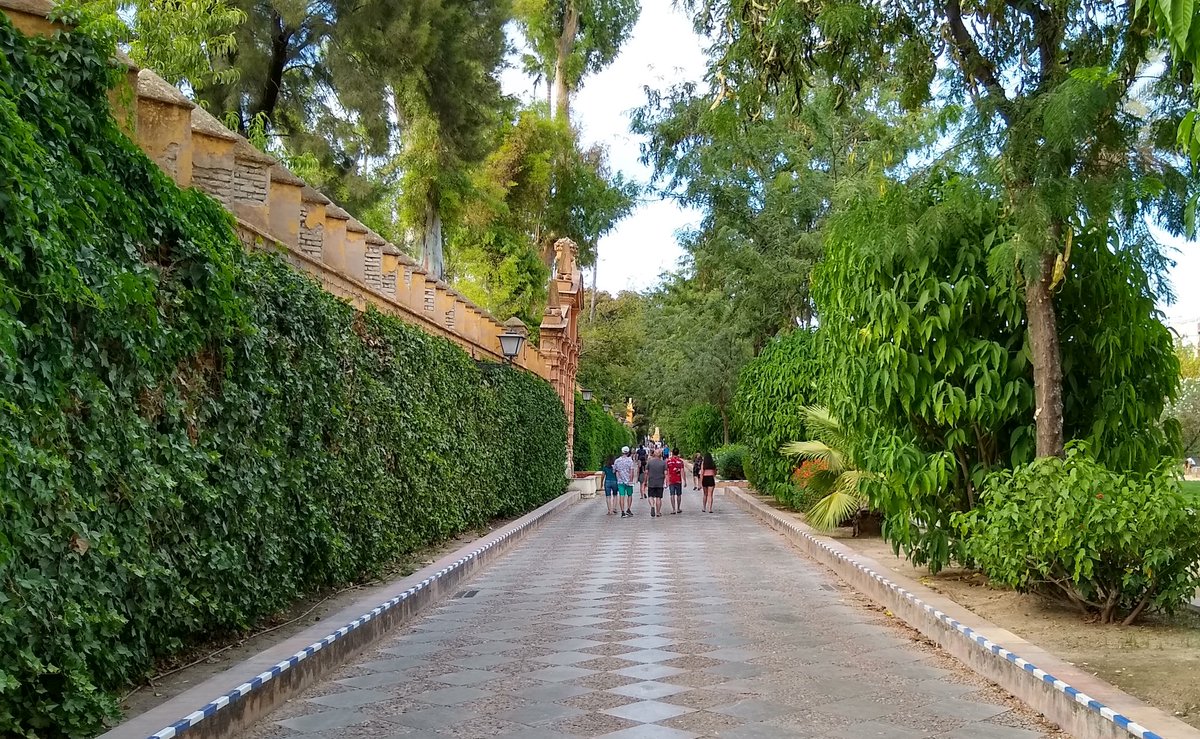 VmorVincitOmnia's tweet photo. Acabo de enterarme de la proposición para cambiar parte del nombre del Paseo de Catalina de Ribera para dedicárselo a la Virgen de la Candelaria.
Ay, ayyyyy.
Igual hay que recordar un poco la importancia de esta señora en la Sevilla del siglo XVI. https://t.co/EaYWcoLJzG