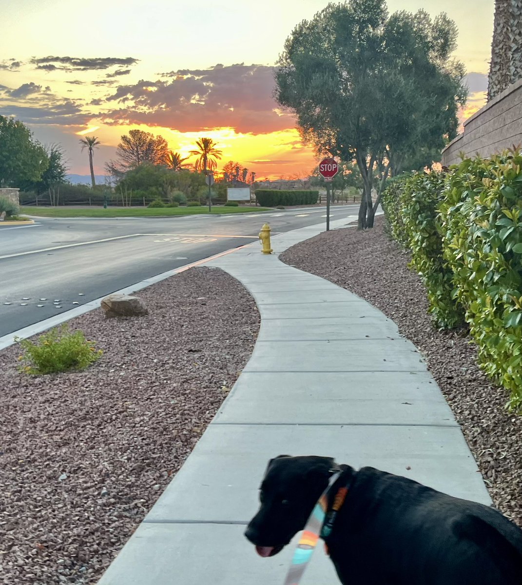 Vegas Sunrise. Goes good with a cup of Airwave Coffee.