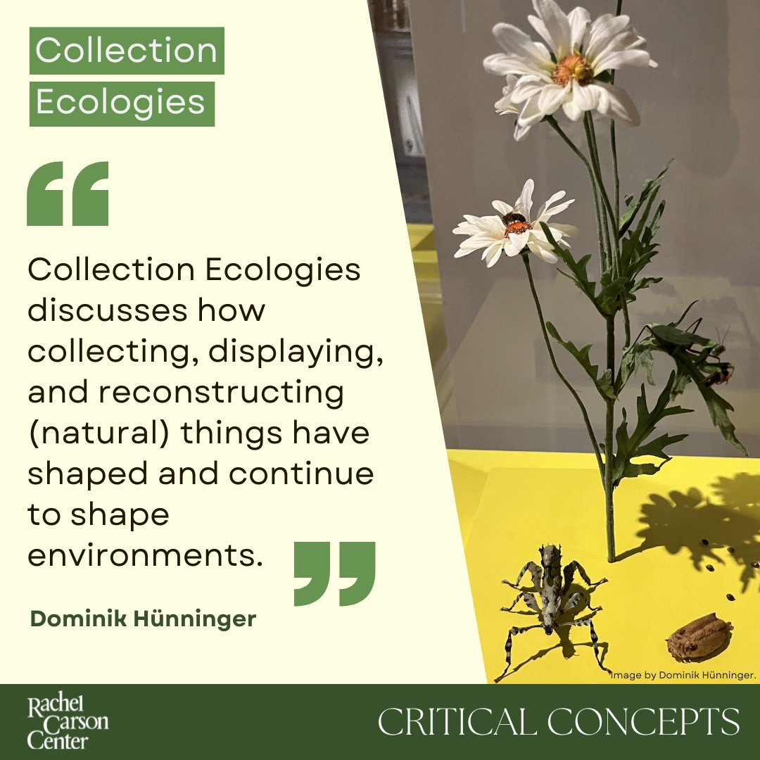 Rachel Carson Center tweet media