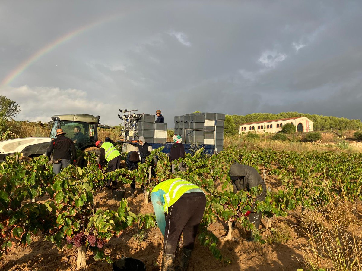 Celler Vell tweet media