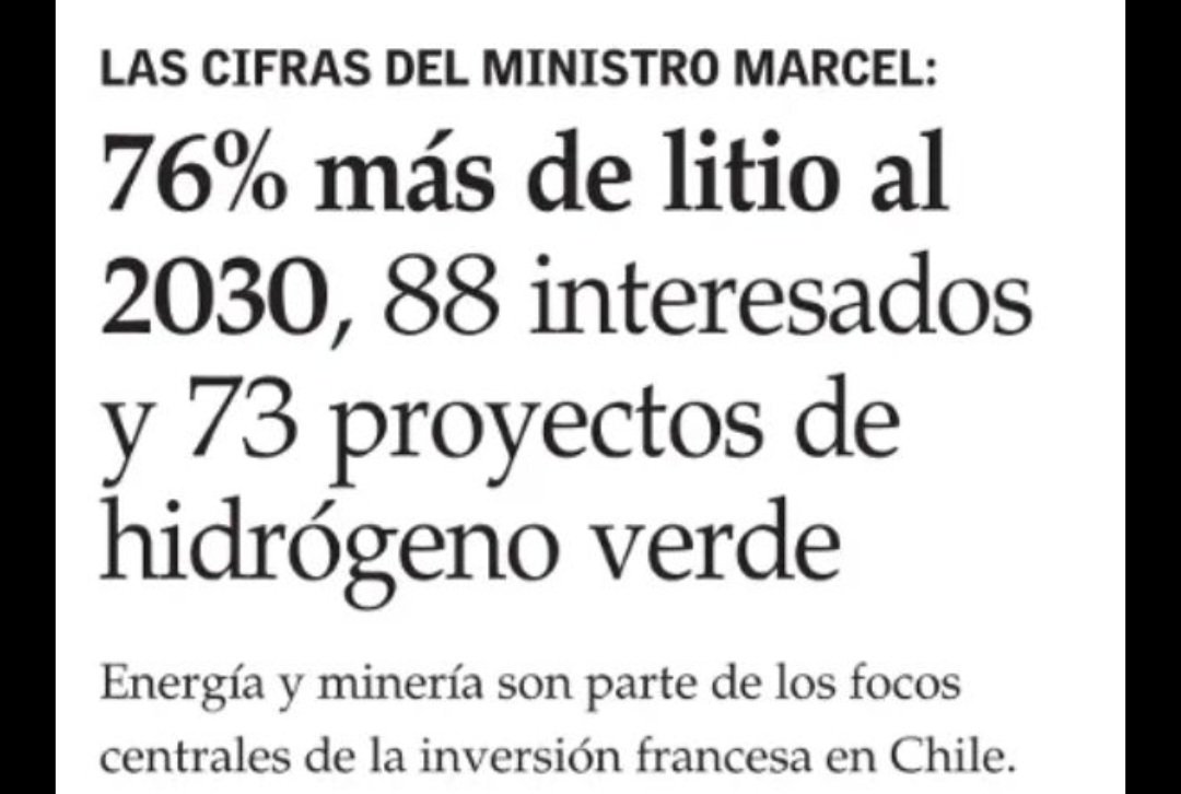 Pamela Poo🌱 tweet media