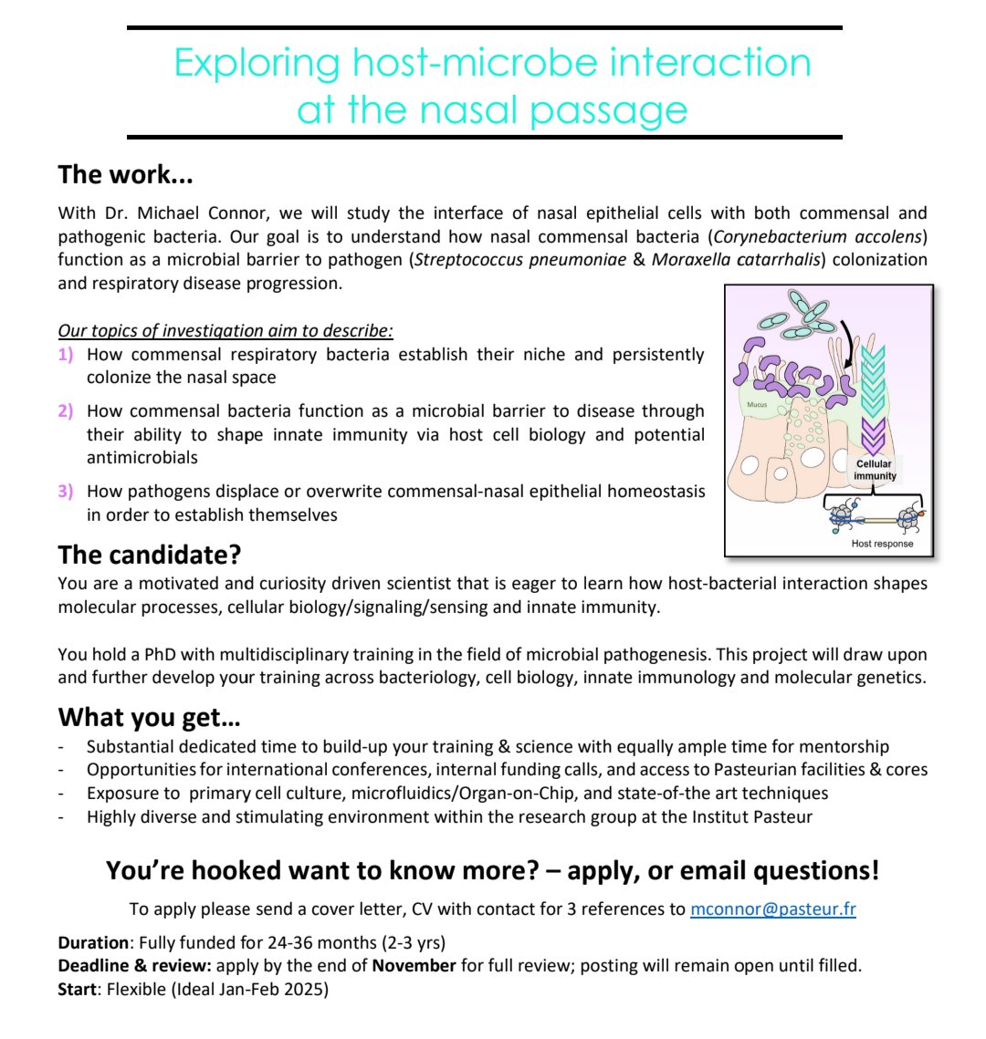Michael Connor (@midweekwarrior) on Twitter photo It's here! I'm recruiting a #postdoc to work with me on an ANR funded project <a href="/institutpasteur/">Institut Pasteur, since 1887</a>! Check it out! We're in <a href="/Chrom_Inf/">melanie hamon</a> & <a href="/BCI_Pasteur/">Cell Biology & Infection</a> It's here! I'm recruiting a #postdoc to work with me on an ANR funded project <a href="/institutpasteur/">Institut Pasteur, since 1887</a>! Check it out! We're in <a href="/Chrom_Inf/">melanie hamon</a> & <a href="/BCI_Pasteur/">Cell Biology & Infection</a>