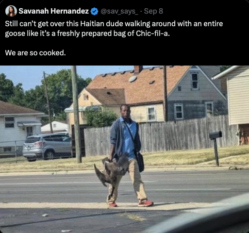 Harvesting a Canada Goose, populations of which are chronically overabundant, actually provides a potential ecological benefit compared to supporting the environmental apocalypse that is the factory farming/fast food industry