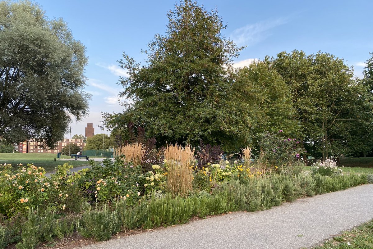 Heybournepark's tweet photo. Positive gardening and cleanup session together with other local residents last Saturday. We added a few new plants to the #communityplot, did maintenance work + cleaned the underpass, subway footpaths & park along Lanacre Ave
Next #CleanupGreenup π±ππ³Sat 5 October 11am https://t.co/eRINQ3wBl8