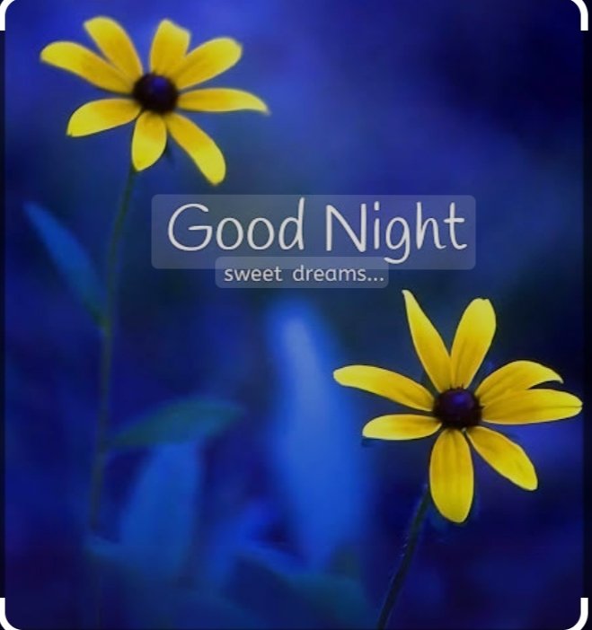 Sudeshkumar9084's tweet image. Good night x family 🥱