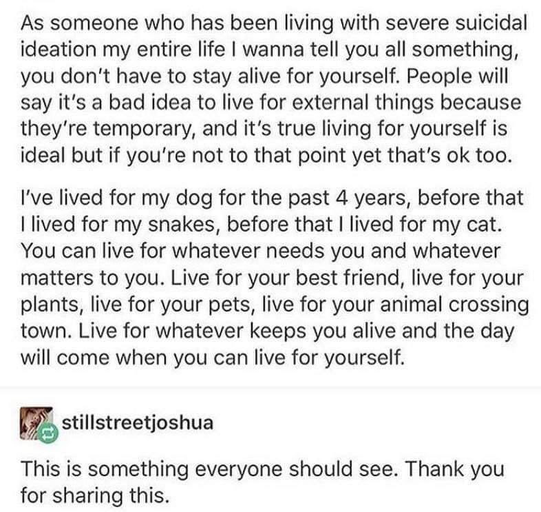 maykamaykaba's tweet image. ✨