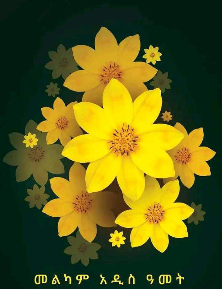 Yohannes Asfaw (@ybayuh) on Twitter photo 