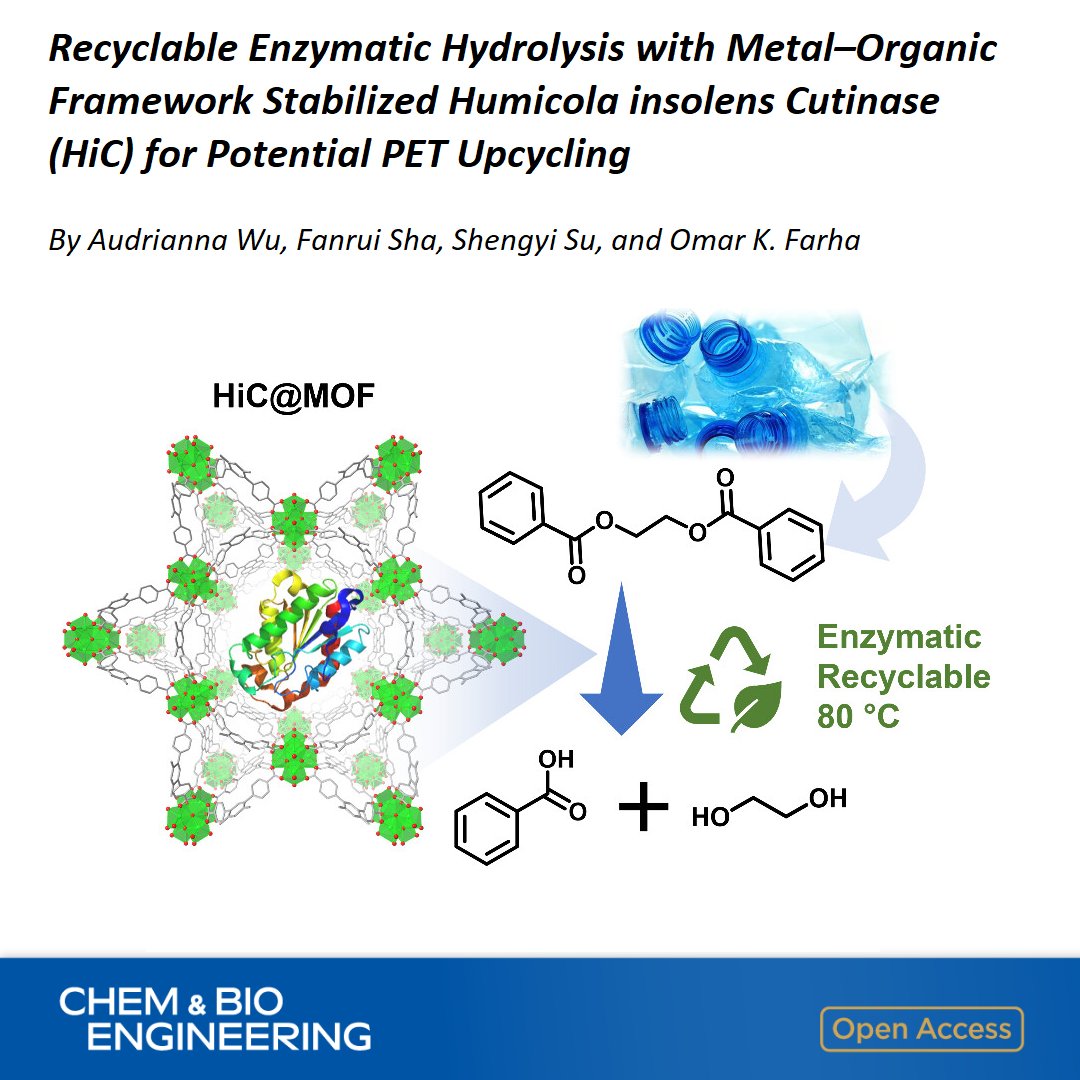 Recyclable Enzymatic Hydrolysis with Metal–Organic Framework Stabilized Humicola insolens Cutinase (HiC) for Potential PET Upcycling

By Omar Farha <a href="/Farhomies/">The Farha Group</a> <a href="/NorthwesternU/">Northwestern</a>

Open access in Chem &amp; Bio Engineering 👉 go.acs.org/aNf