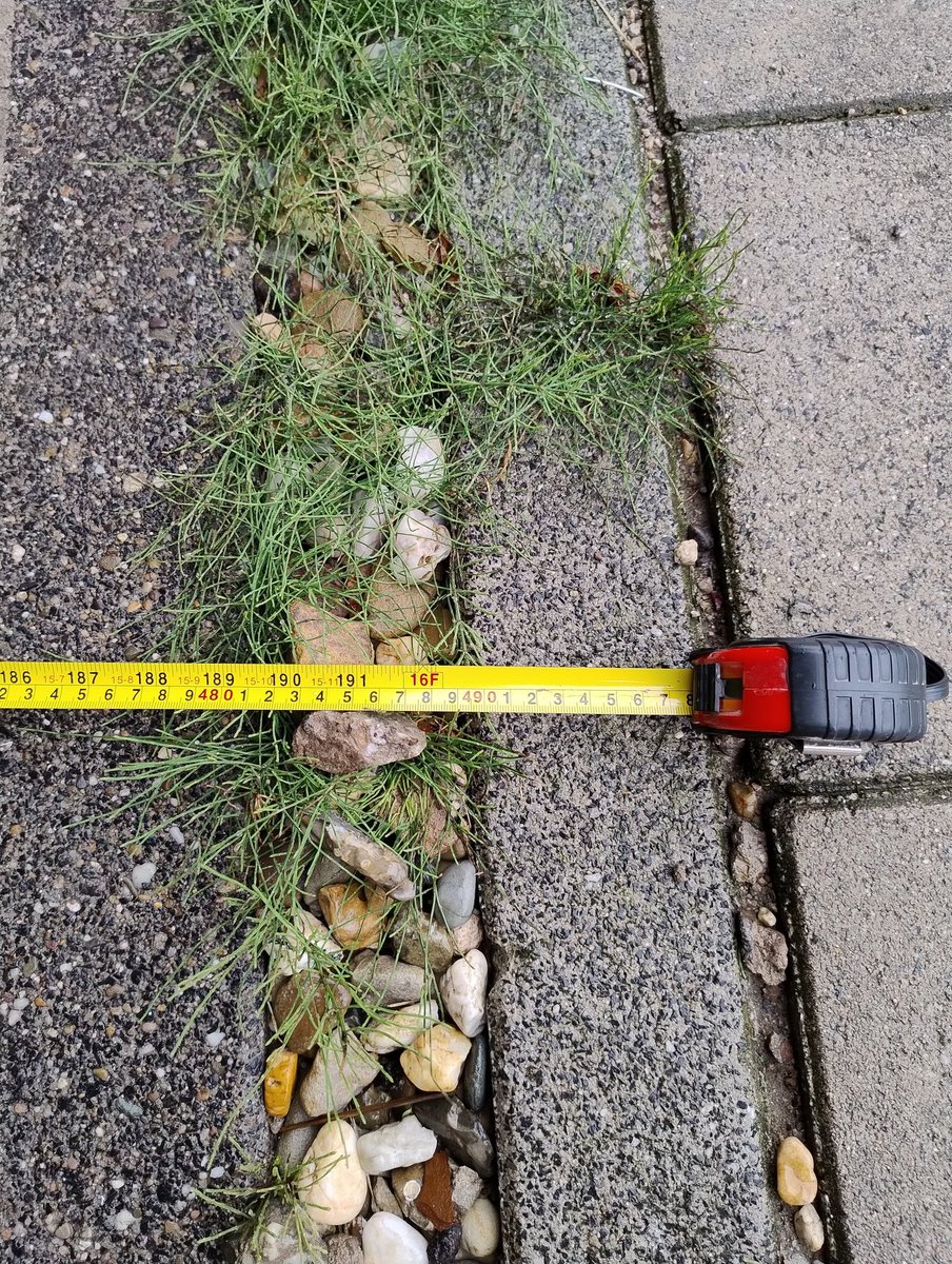 Ook dit is de energietransitie, tot op de laatste cm de erfgrens toetsen om een compactstation te kunnen bouwen