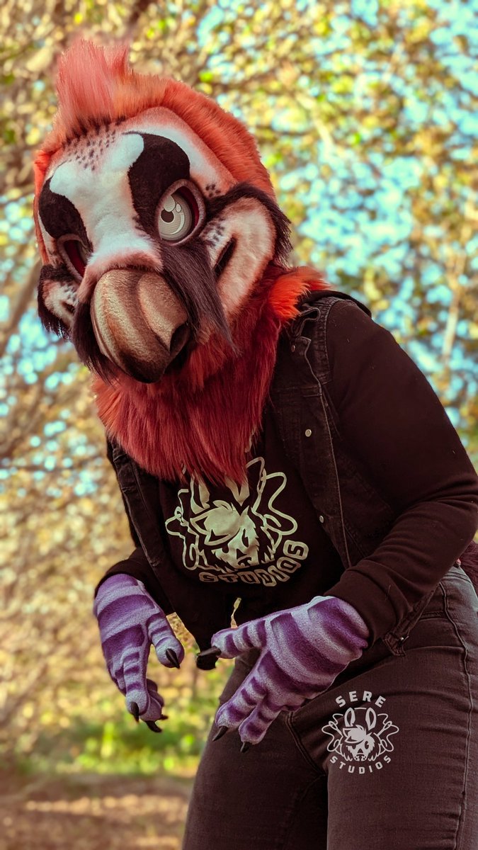 serestudios's tweet photo. Bearded vulture partial is up for offers! 

Fits up to 23" head circumference, and comes with hands and tail! All the info is posted on telegram, where I will be accepting offers over $4k for him. You must be 18+ to purchase. Link below! https://t.co/qxMEjBowEg