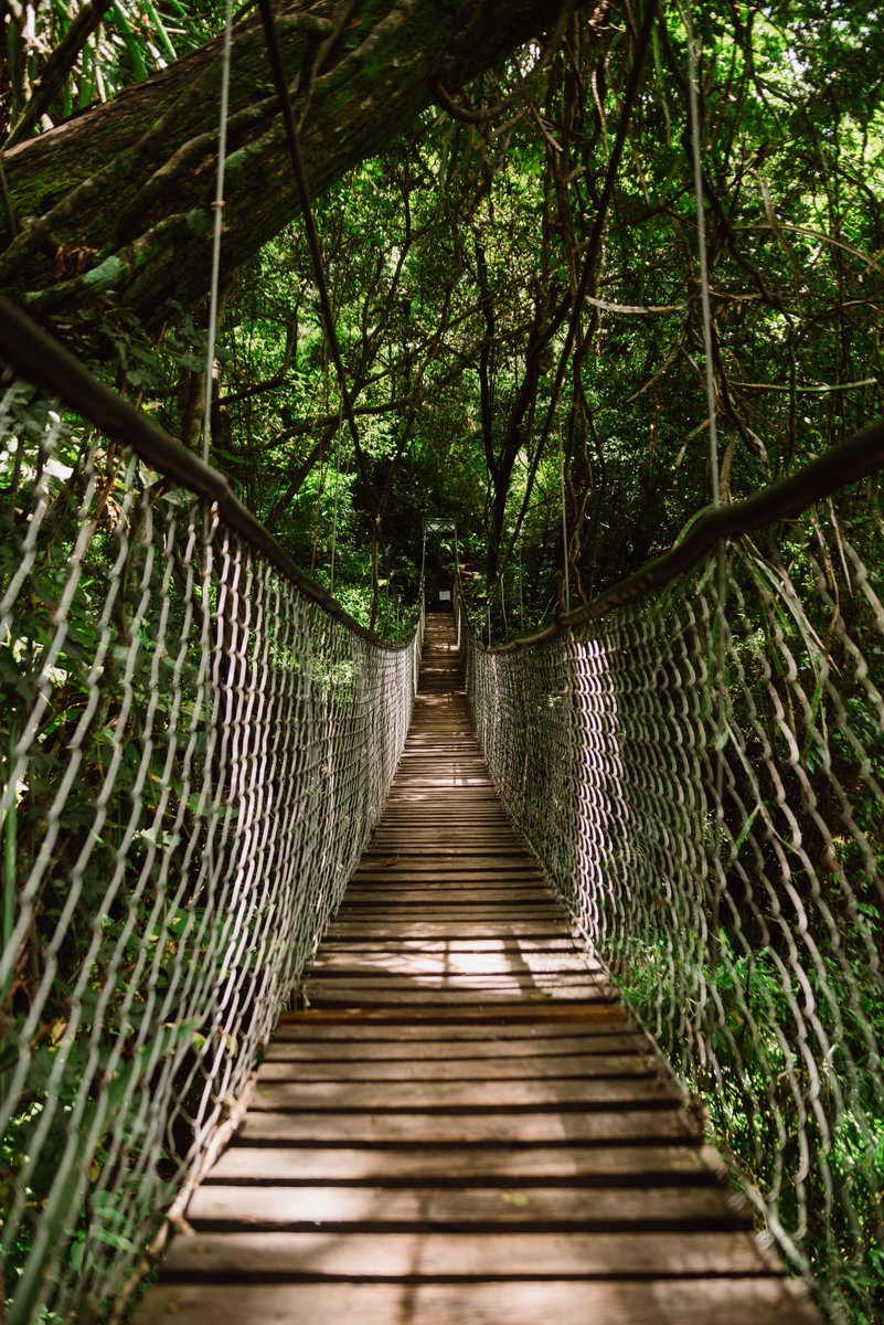 CryptoFed_'s tweet image. amazing last couple weeks. much needed refresher &amp;amp; change of scenery 

market still boring, but i got a gut feeling we’re getting more movement here towards the end of the month &amp;amp; onward