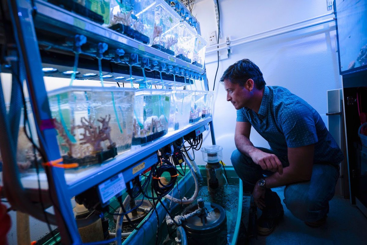 Scripps Institution of Oceanography (@scripps_ocean) on Twitter photo 🌊🧬BIG NEWS: Thanks to a four-year, $10 million grant funded by the Paul G. Allen Family Foundation, a new center will be established at Scripps Oceanography to understand how climate change may impact the nervous systems and behavior of marine animals. 🧵⬇️
<a href="/AllenInstitute/">Allen Institute</a> 🌊🧬BIG NEWS: Thanks to a four-year, $10 million grant funded by the Paul G. Allen Family Foundation, a new center will be established at Scripps Oceanography to understand how climate change may impact the nervous systems and behavior of marine animals. 🧵⬇️
<a href="/AllenInstitute/">Allen Institute</a>