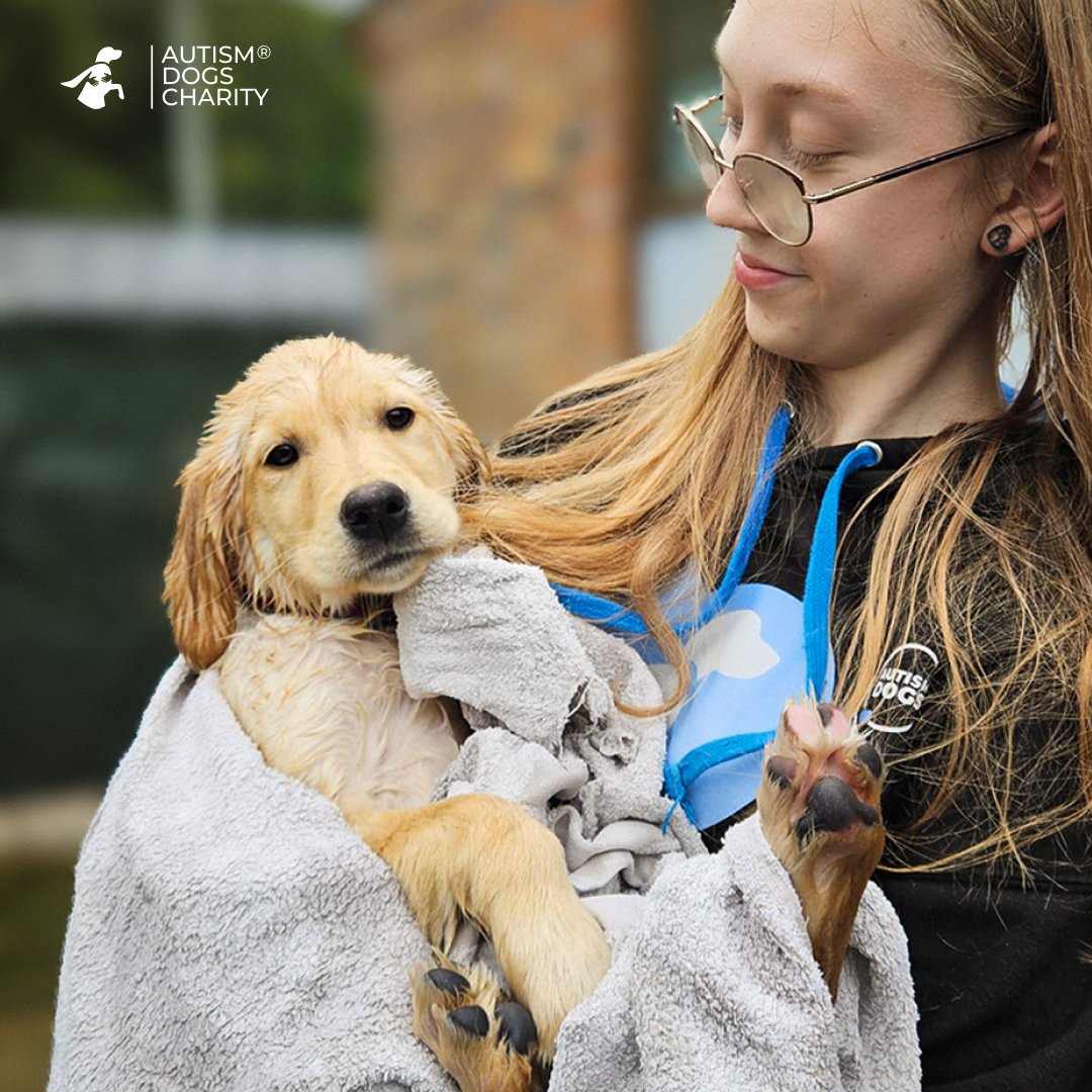 #AnimalCare is Our Priority at #AutismDogsCharity✨🐾

We provide expert care and love to prepare our dogs to support autistic people across the UK. Our dogs become trusted companions, providing life-changing support! 💙

Learn more: autismdogs.co.uk

  #Assistancedogs