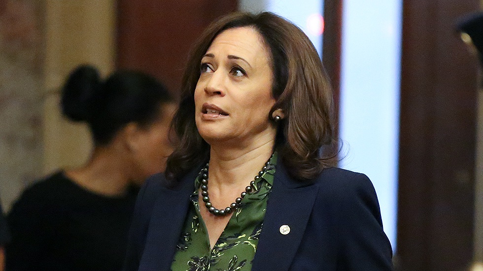 The Trump Train 🚂🇺🇸 tweet media