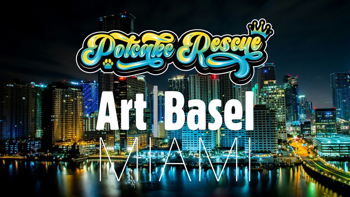 Potcake Rescue 🏝🐕 tweet media