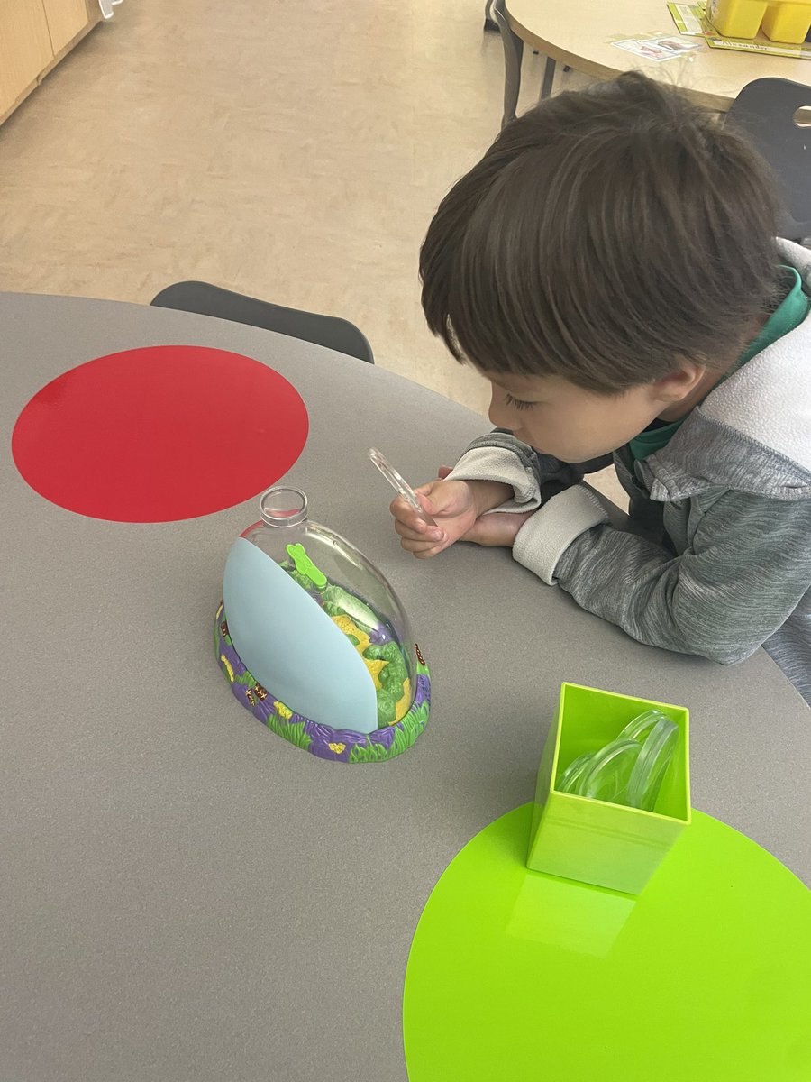 Mrs. Moretti's Kindergarten tweet media