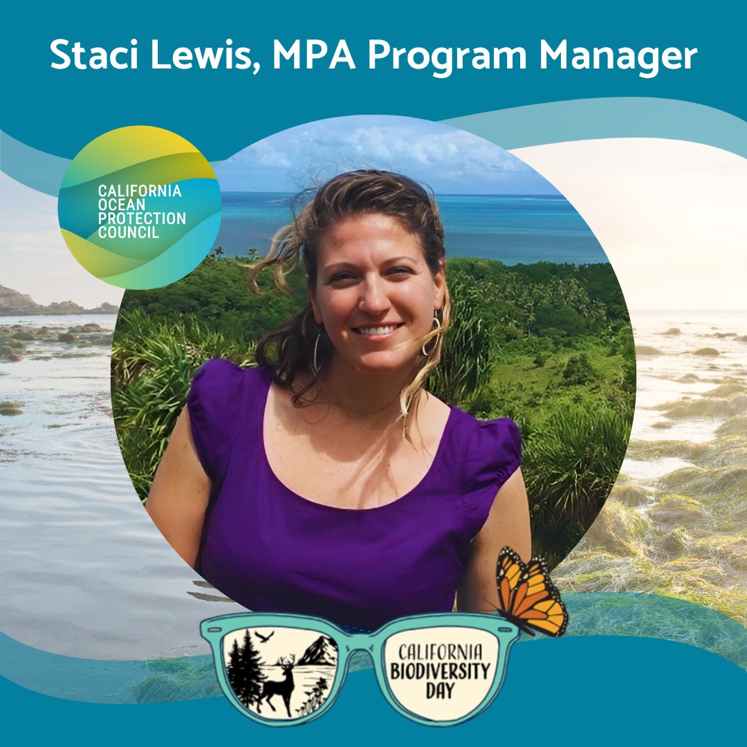 OPC_California's tweet photo. For #BiodiversityWeek 💙, we’re highlighting members of the Biodiversity Team at OPC! 

Through our Biodiversity Program, we work to enhance the diversity and health of California’s coastal and marine ecosystems, restore and protect threatened habitats, and support sustainable fishing through science-based, collaborative management. 

Today, we’re highlighting Staci Lewis, Ph.D., our Marine Protected Areas (MPA) Program Manager! 

🐋 What are some of your first memories of the ocean?

"Some of my very first memories of the ocean were growing up off the Gulf Coast in Alabama. On the white sandy beaches and the warm salty waters of the Gulf of Mexico, where you could swim all year long. I remember getting buried up to my neck in the sand and spending so many long, long days playing at the beach."

🦈 What are your hopes and aspirations for biodiversity in California?

"Specifically, within the MPA space, I’m extremely dedicated to ensuring that we have marine resources that are protected and conserved with every Californian in mind. Not just preserving and reserving these seascapes for the vitality of our planet but also for people too. One of the main themes in my work is equity and making sure unrepresented voices are heard to increase access and equity for all." 

🐟 What advice would you give someone who wants to work in this field?

"Get in the water, get to know the people, and don’t feel like you need to stay solely on the academic conveyor belt. Careers are rarely a straight path. Talk to the person with the job you want and ask them how they got where they are. Take detours, explore, and have real-life experiences because you can draw on them to be a better problem-solver! You'll feel more connected when you get in the water - when you have your head below the waves and your toes in the sand."

#BiodiversityDay #OceanScience #OceanJobs #CaliforniaCoast